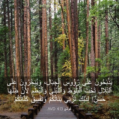 Picture 03 - هُوشَع 4:13 AVD - يَذْبَحُونَ عَلَى رُؤُوسِ - Bible Verse Picture