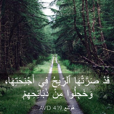 Picture 03 - هُوشَع 4:19 AVD - قَدْ صَرَّتْهَا ٱلرِّيحُ - Bible Verse Picture