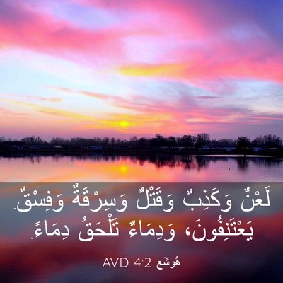 Picture 03 - هُوشَع 4:2 AVD - لَعْنٌ وَكَذِبٌ وَقَتْلٌ - Bible Verse Picture