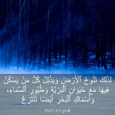 Picture 03 - هُوشَع 4:3 AVD - لِذَلِكَ تَنُوحُ - Bible Verse Picture