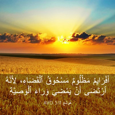 Picture 03 - هُوشَع 5:11 AVD - أَفْرَايِمُ مَظْلُومٌ - Bible Verse Picture