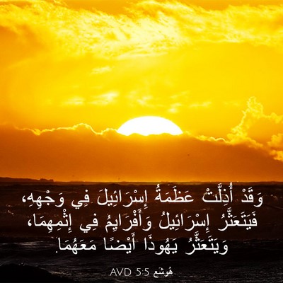 Picture 03 - هُوشَع 5:5 AVD - وَقَدْ أُذِلَّتْ عَظَمَةُ - Bible Verse Picture