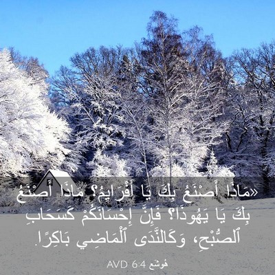 Picture 03 - هُوشَع 6:4 AVD - «مَاذَا أَصْنَعُ بِكَ يَا - Bible Verse Picture