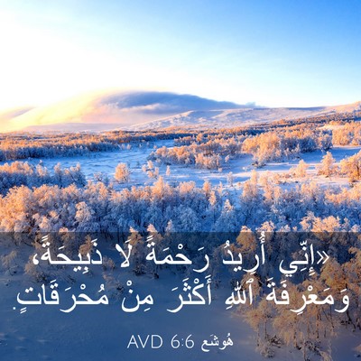 Picture 03 - هُوشَع 6:6 AVD - «إِنِّي أُرِيدُ رَحْمَةً - Bible Verse Picture
