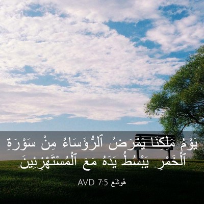 Picture 03 - هُوشَع 7:5 AVD - يَوْمُ مَلِكِنَا يَمْرَضُ - Bible Verse Picture
