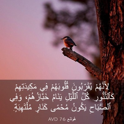 Picture 03 - هُوشَع 7:6 AVD - لِأَنَّهُمْ يُقَرِّبُونَ - Bible Verse Picture