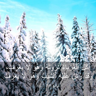 Picture 03 - هُوشَع 7:9 AVD - أَكَلَ ٱلْغُرَبَاءُ - Bible Verse Picture