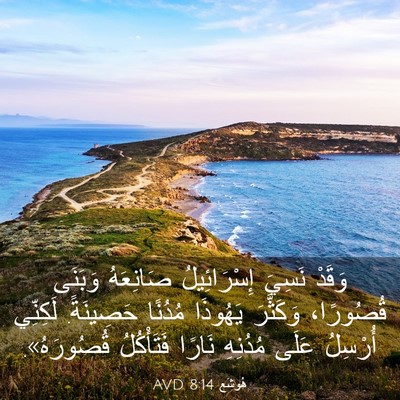 Picture 03 - هُوشَع 8:14 AVD - وَقَدْ نَسِيَ - Bible Verse Picture