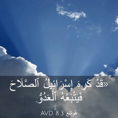 Picture 03 - هُوشَع 8:3 AVD - «قَدْ كَرِهَ إِسْرَائِيلُ - Bible Verse Picture
