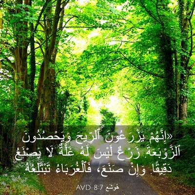 Picture 03 - هُوشَع 8:7 AVD - «إِنَّهُمْ يَزْرَعُونَ - Bible Verse Picture