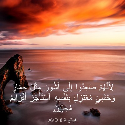 Picture 03 - هُوشَع 8:9 AVD - لِأَنَّهُمْ صَعِدُوا - Bible Verse Picture