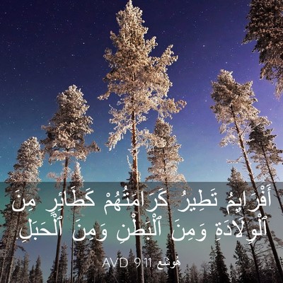 Picture 03 - هُوشَع 9:11 AVD - أَفْرَايِمُ تَطِيرُ - Bible Verse Picture