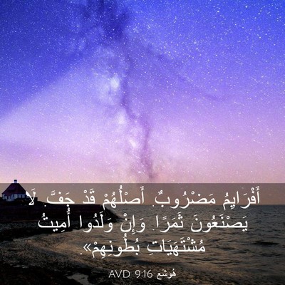 Picture 03 - هُوشَع 9:16 AVD - أَفْرَايِمُ مَضْرُوبٌ. - Bible Verse Picture