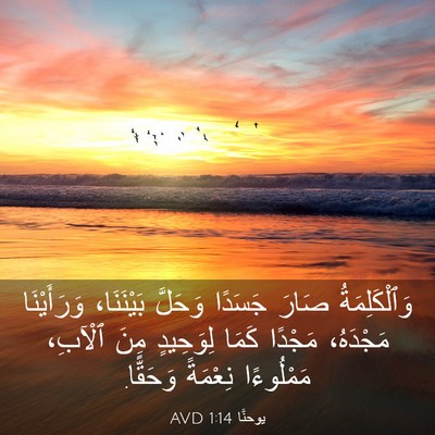Picture 03 - يوحنَّا 1:14 AVD - وَٱلْكَلِمَةُ صَارَ - Bible Verse Picture