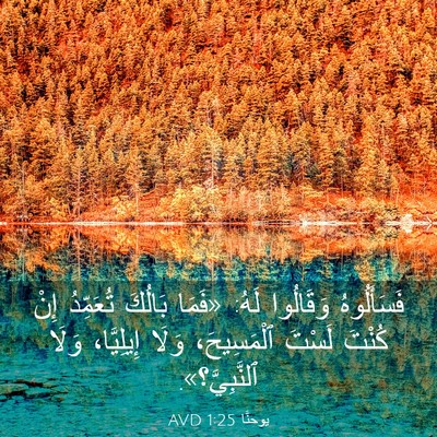 Picture 03 - يوحنَّا 1:25 AVD - فَسَأَلُوهُ وَقَالُوا - Bible Verse Picture