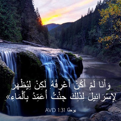 Picture 03 - يوحنَّا 1:31 AVD - وَأَنَا لَمْ أَكُنْ - Bible Verse Picture