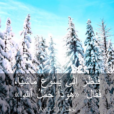 Picture 03 - يوحنَّا 1:36 AVD - فَنَظَرَ إِلَى يَسُوعَ - Bible Verse Picture