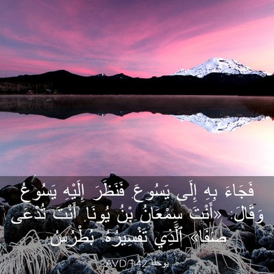 Picture 03 - يوحنَّا 1:42 AVD - فَجَاءَ بِهِ إِلَى - Bible Verse Picture