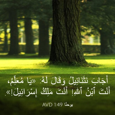 Picture 03 - يوحنَّا 1:49 AVD - أَجَابَ نَثَنَائِيلُ - Bible Verse Picture