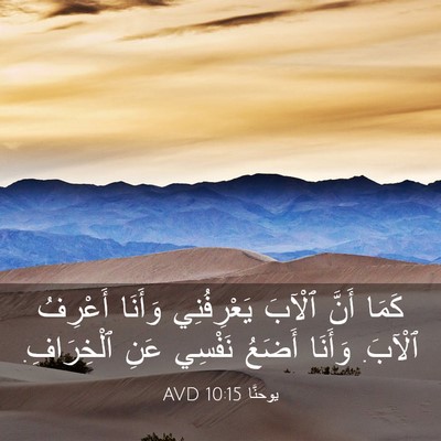 Picture 03 - يوحنَّا 10:15 AVD - كَمَا أَنَّ ٱلْآبَ - Bible Verse Picture