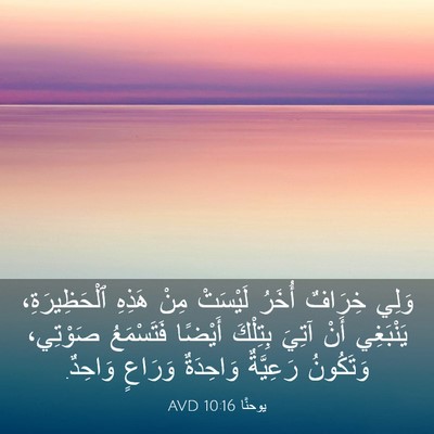 Picture 03 - يوحنَّا 10:16 AVD - وَلِي خِرَافٌ أُخَرُ - Bible Verse Picture