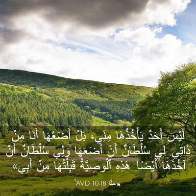Picture 03 - يوحنَّا 10:18 AVD - لَيْسَ أَحَدٌ يَأْخُذُهَا - Bible Verse Picture