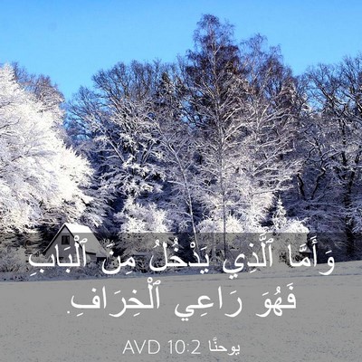Picture 03 - يوحنَّا 10:2 AVD - وَأَمَّا ٱلَّذِي يَدْخُلُ - Bible Verse Picture