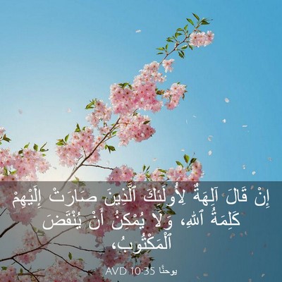 Picture 03 - يوحنَّا 10:35 AVD - إِنْ قَالَ آلِهَةٌ - Bible Verse Picture
