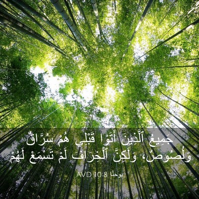 Picture 03 - يوحنَّا 10:8 AVD - جَمِيعُ ٱلَّذِينَ أَتَوْا - Bible Verse Picture
