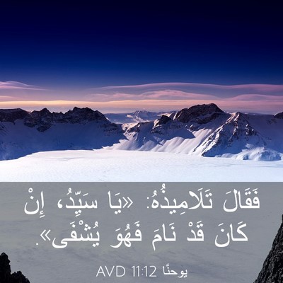 Picture 03 - يوحنَّا 11:12 AVD - فَقَالَ تَلَامِيذُهُ: «يَا - Bible Verse Picture