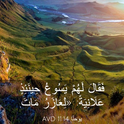 Picture 03 - يوحنَّا 11:14 AVD - فَقَالَ لَهُمْ يَسُوعُ - Bible Verse Picture