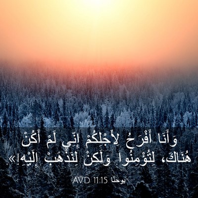 Picture 03 - يوحنَّا 11:15 AVD - وَأَنَا أَفْرَحُ - Bible Verse Picture