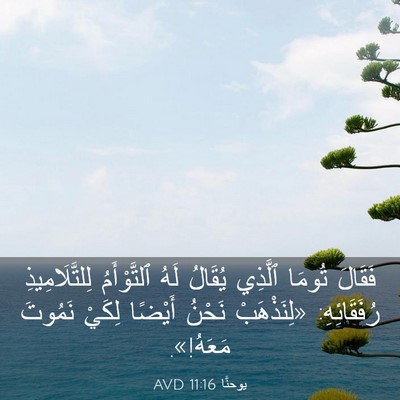 Picture 03 - يوحنَّا 11:16 AVD - فَقَالَ تُومَا ٱلَّذِي - Bible Verse Picture