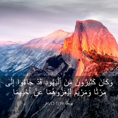 Picture 03 - يوحنَّا 11:19 AVD - وَكَانَ كَثِيرُونَ مِنَ - Bible Verse Picture