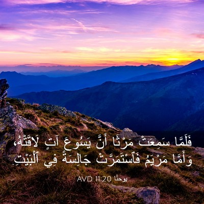 Picture 03 - يوحنَّا 11:20 AVD - فَلَمَّا سَمِعَتْ مَرْثَا - Bible Verse Picture