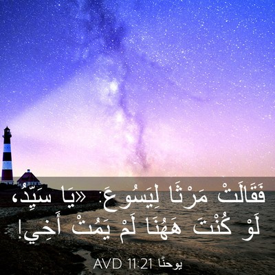 Picture 03 - يوحنَّا 11:21 AVD - فَقَالَتْ مَرْثَا - Bible Verse Picture