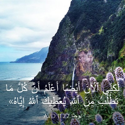 Picture 03 - يوحنَّا 11:22 AVD - لَكِنِّي ٱلْآنَ أَيْضًا - Bible Verse Picture