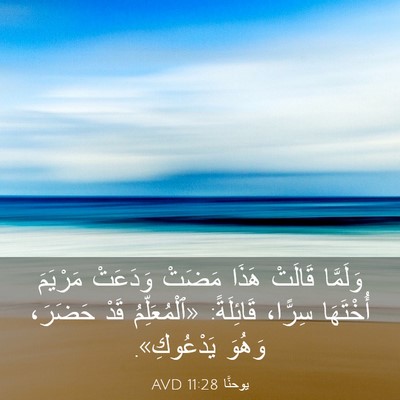 Picture 03 - يوحنَّا 11:28 AVD - وَلَمَّا قَالَتْ هَذَا - Bible Verse Picture
