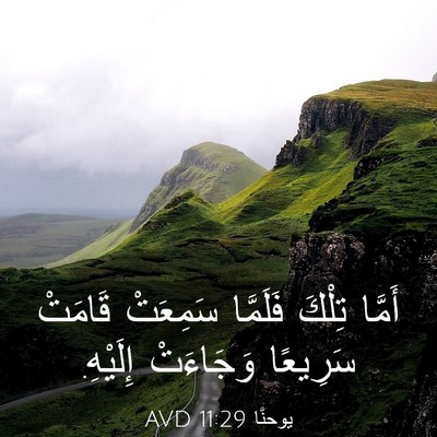 Picture 03 - يوحنَّا 11:29 AVD - أَمَّا تِلْكَ فَلَمَّا - Bible Verse Picture
