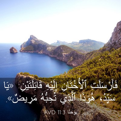 Picture 03 - يوحنَّا 11:3 AVD - فَأَرْسَلَتِ ٱلْأُخْتَانِ - Bible Verse Picture