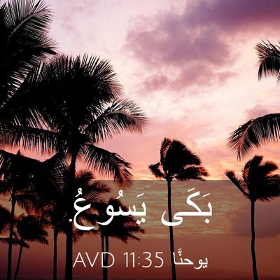 Picture 03 - يوحنَّا 11:35 AVD - بَكَى - Bible Verse Picture