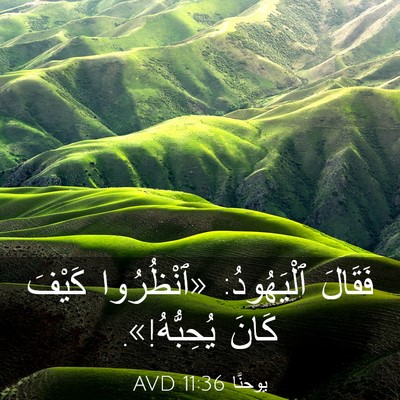 Picture 03 - يوحنَّا 11:36 AVD - فَقَالَ ٱلْيَهُودُ: - Bible Verse Picture