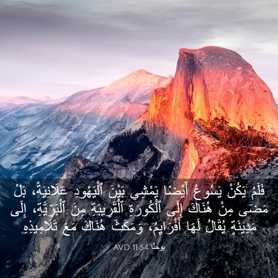 Picture 03 - يوحنَّا 11:54 AVD - فَلَمْ يَكُنْ يَسُوعُ - Bible Verse Picture