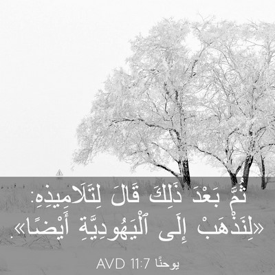 Picture 03 - يوحنَّا 11:7 AVD - ثُمَّ بَعْدَ ذَلِكَ قَالَ - Bible Verse Picture