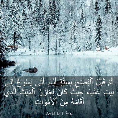 Picture 03 - يوحنَّا 12:1 AVD - ثُمَّ قَبْلَ ٱلْفِصْحِ - Bible Verse Picture