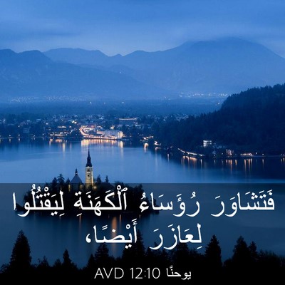 Picture 03 - يوحنَّا 12:10 AVD - فَتَشَاوَرَ رُؤَسَاءُ - Bible Verse Picture