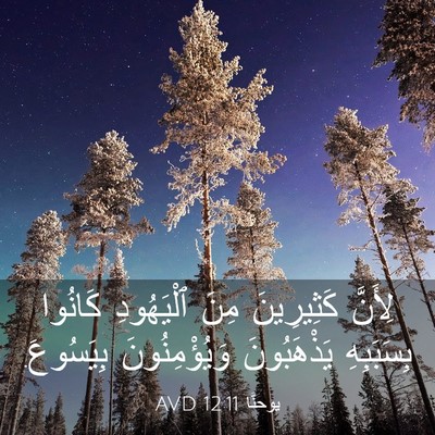 Picture 03 - يوحنَّا 12:11 AVD - لِأَنَّ كَثِيرِينَ مِنَ - Bible Verse Picture