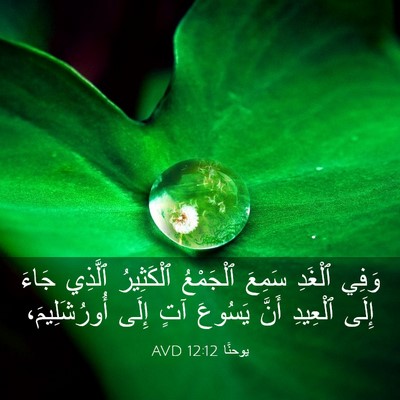 Picture 03 - يوحنَّا 12:12 AVD - وَفِي ٱلْغَدِ سَمِعَ - Bible Verse Picture