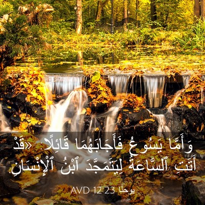 Picture 03 - يوحنَّا 12:23 AVD - وَأَمَّا يَسُوعُ - Bible Verse Picture