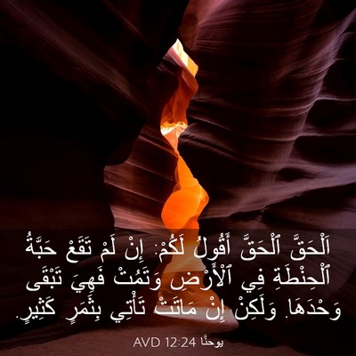 Picture 03 - يوحنَّا 12:24 AVD - اَلْحَقَّ ٱلْحَقَّ - Bible Verse Picture